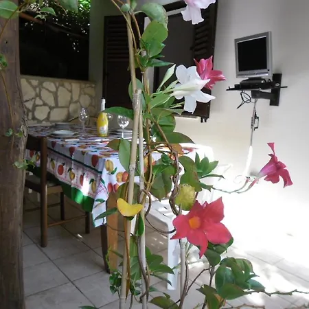 Residenza Romantica 4* טרופאה